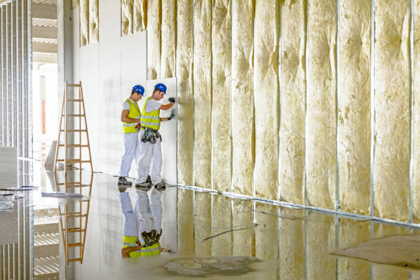 Best Eco-Friendly Insulation in Lincolndale, NY